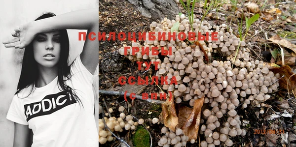 тгк Сясьстрой