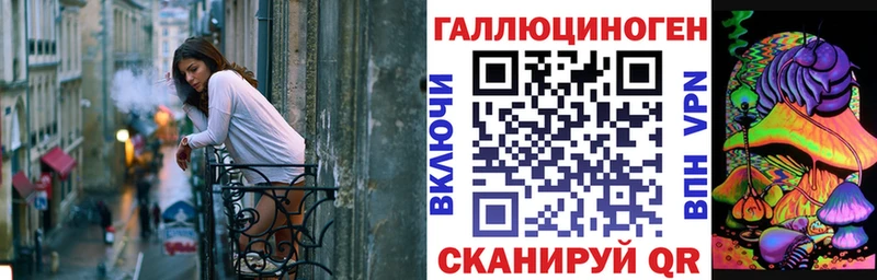 дарк нет официальный сайт  Карабулак  Псилоцибиновые грибы Psilocybe 